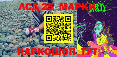 прущие грибы Обнинск