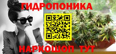 прущие грибы Обнинск