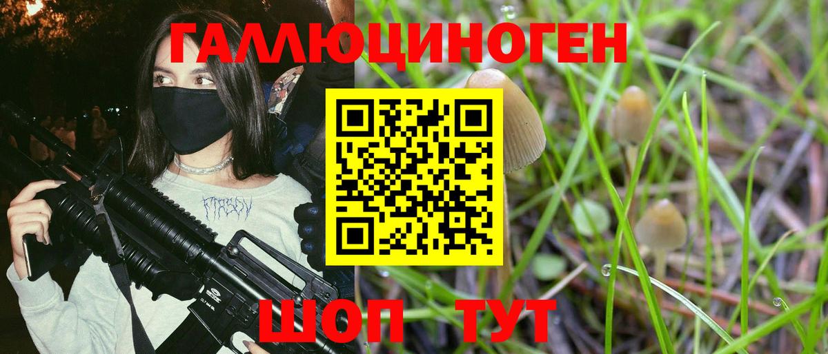 Галлюциногенные грибы GOLDEN TEACHER  Вход с VPN  Псилоцибиновые грибы мухоморы  Тобольск 